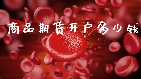 商品期货开户多少钱_https://wap.sdyuehang.cn_债券资讯_第1张