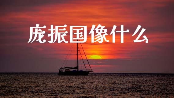 庞振国像什么_https://wap.sdyuehang.cn_新股申购_第1张