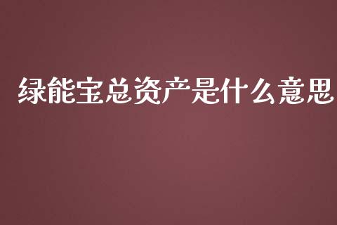 绿能宝总资产是什么意思_https://wap.sdyuehang.cn_美股行情_第1张