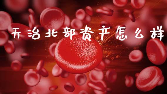 天治北部资产怎么样_https://wap.sdyuehang.cn_产经新闻_第1张