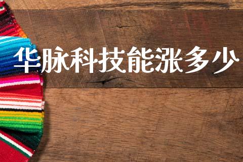 华脉科技能涨多少_https://wap.sdyuehang.cn_产经新闻_第1张