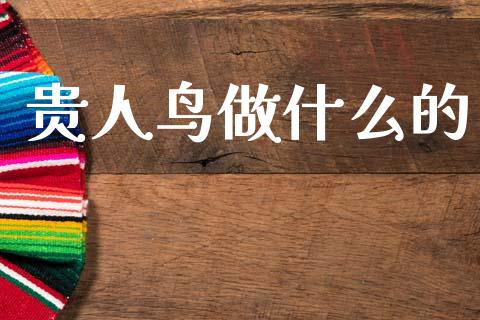 贵人鸟做什么的_https://wap.sdyuehang.cn_新股申购_第1张