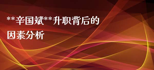 **辛国斌**升职背后的因素分析_https://wap.sdyuehang.cn_产经新闻_第1张