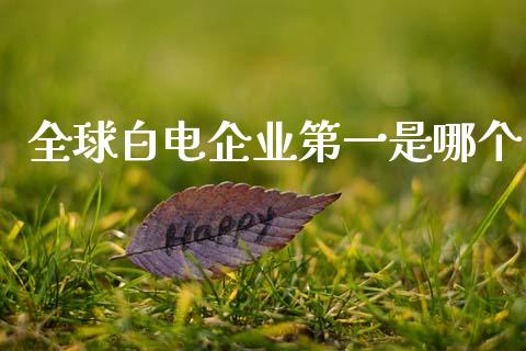 全球白电企业第一是哪个_https://wap.sdyuehang.cn_债券资讯_第1张