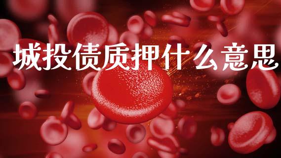 城投债质押什么意思_https://wap.sdyuehang.cn_产经新闻_第1张