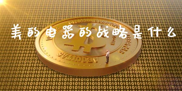 美的电器的战略是什么_https://wap.sdyuehang.cn_债券资讯_第1张