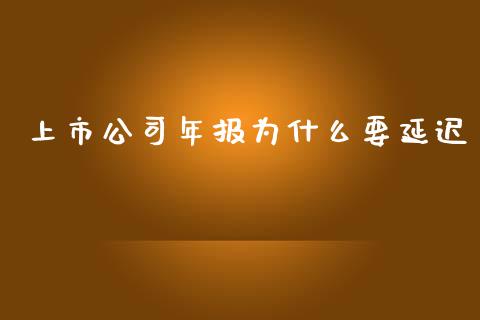 上市公司年报为什么要延迟_https://wap.sdyuehang.cn_新股申购_第1张