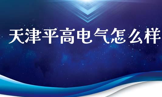 天津平高电气怎么样_https://wap.sdyuehang.cn_新股申购_第1张