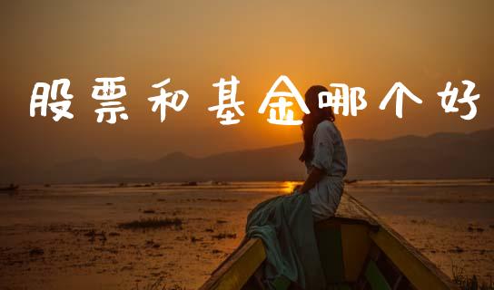 股票和基金哪个好_https://wap.sdyuehang.cn_美股行情_第1张