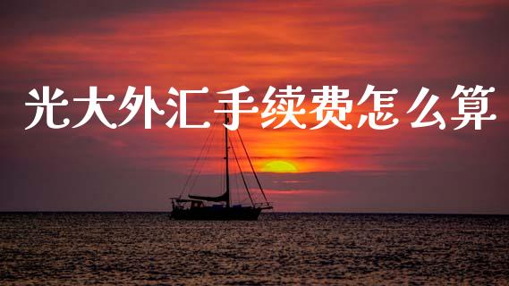 光大外汇手续费怎么算_https://wap.sdyuehang.cn_新股申购_第1张