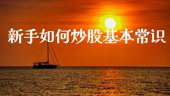 新手如何炒股基本常识_https://wap.sdyuehang.cn_产经新闻_第1张