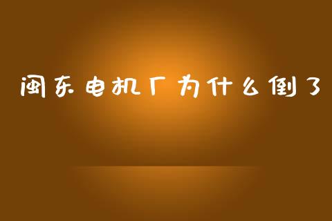 闽东电机厂为什么倒了_https://wap.sdyuehang.cn_产经新闻_第1张