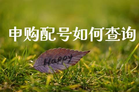 申购配号如何查询_https://wap.sdyuehang.cn_产经新闻_第1张
