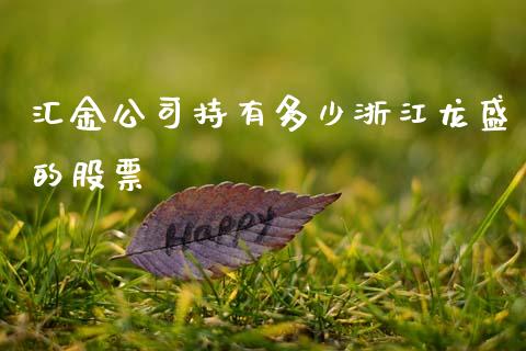 汇金公司持有多少浙江龙盛的股票_https://wap.sdyuehang.cn_新股申购_第1张