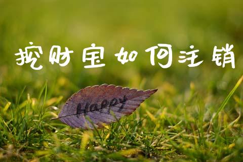 挖财宝如何注销_美股行情_第1张_产经新闻_债券资讯_新股申购_美股行情 挖财宝如何注销_https://wap.sdyuehang.cn_美股行情_第1张