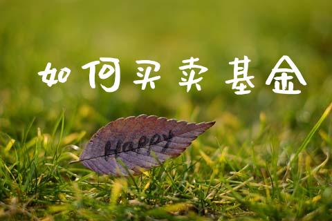 如何买卖基金_https://wap.sdyuehang.cn_产经新闻_第1张