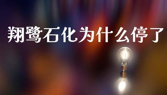翔鹭石化为什么停了_https://wap.sdyuehang.cn_美股行情_第1张