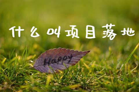 什么叫项目落地_https://wap.sdyuehang.cn_债券资讯_第1张