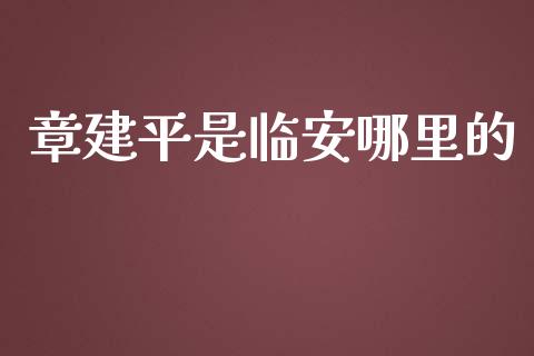 章建平是临安哪里的_https://wap.sdyuehang.cn_美股行情_第1张