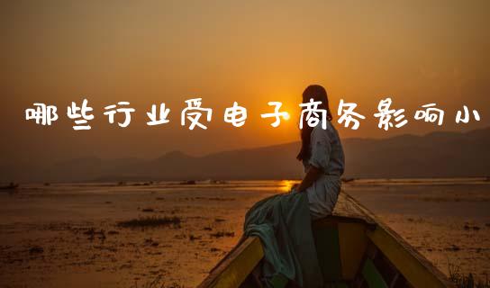 哪些行业受电子商务影响小_https://wap.sdyuehang.cn_债券资讯_第1张