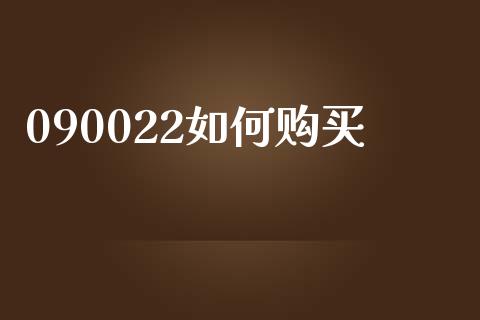 090022如何购买_https://wap.sdyuehang.cn_新股申购_第1张