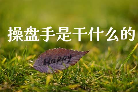 操盘手是干什么的_https://wap.sdyuehang.cn_新股申购_第1张