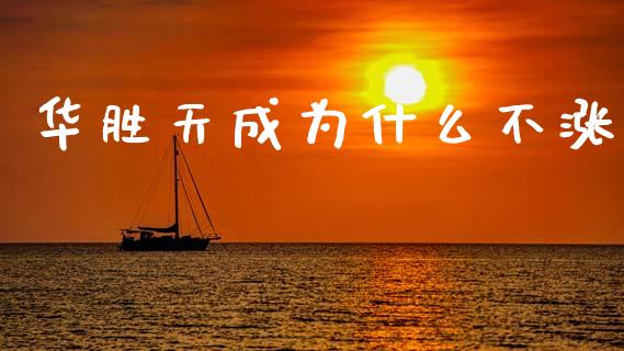 华胜天成为什么不涨_https://wap.sdyuehang.cn_债券资讯_第1张