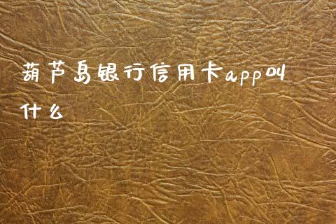 葫芦岛银行信用卡app叫什么_https://wap.sdyuehang.cn_美股行情_第1张
