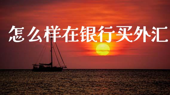 怎么样在银行买外汇_https://wap.sdyuehang.cn_债券资讯_第1张
