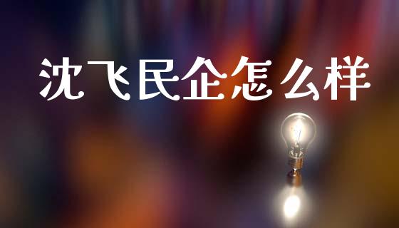 沈飞民企怎么样_https://wap.sdyuehang.cn_债券资讯_第1张