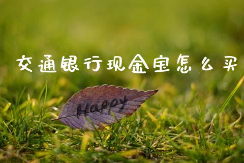 交通银行现金宝怎么买_https://wap.sdyuehang.cn_债券资讯_第1张