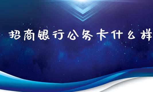 招商银行公务卡什么样_https://wap.sdyuehang.cn_债券资讯_第1张