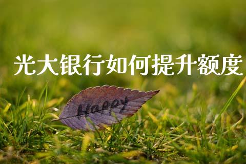 光大银行如何提升额度_https://wap.sdyuehang.cn_债券资讯_第1张