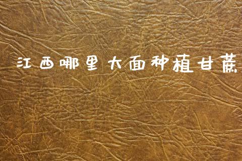 江西哪里大面种植甘蔗_https://wap.sdyuehang.cn_美股行情_第1张