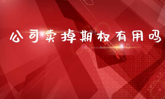 公司卖掉期权有用吗_https://wap.sdyuehang.cn_产经新闻_第1张