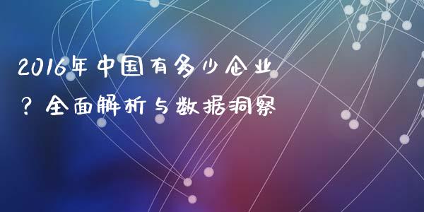 2016年中国有多少企业？全面解析与数据洞察_https://wap.sdyuehang.cn_美股行情_第1张