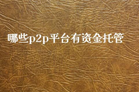 哪些p2p平台有资金托管_https://wap.sdyuehang.cn_债券资讯_第1张