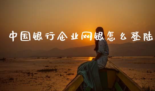 中国银行企业网银怎么登陆_https://wap.sdyuehang.cn_债券资讯_第1张