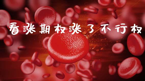 看涨期权涨了不行权_https://wap.sdyuehang.cn_债券资讯_第1张