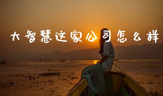 大智慧这家公司怎么样_https://wap.sdyuehang.cn_美股行情_第1张