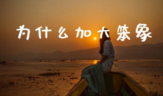 为什么加大笨象_https://wap.sdyuehang.cn_债券资讯_第1张
