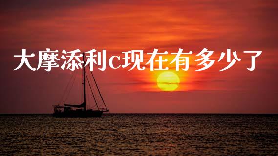 大摩添利c现在有多少了_https://wap.sdyuehang.cn_债券资讯_第1张