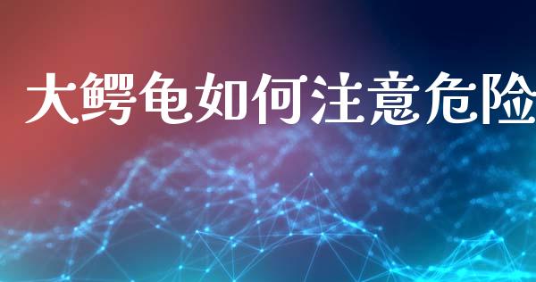 大鳄龟如何注意危险_https://wap.sdyuehang.cn_新股申购_第1张