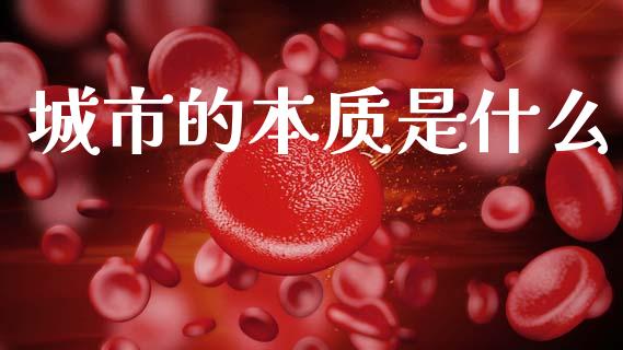 城市的本质是什么_https://wap.sdyuehang.cn_债券资讯_第1张