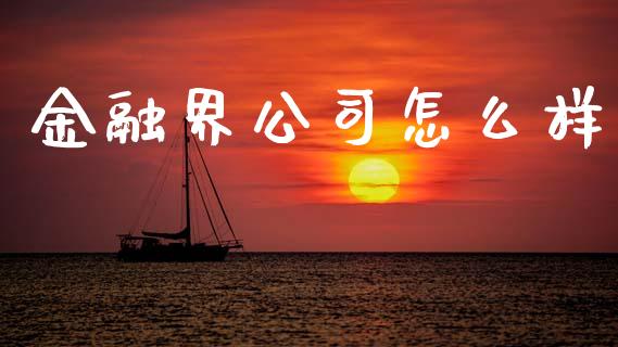 金融界公司怎么样_https://wap.sdyuehang.cn_债券资讯_第1张