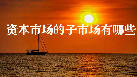 资本市场的子市场有哪些_https://wap.sdyuehang.cn_产经新闻_第1张