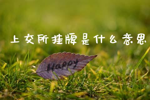 上交所挂牌是什么意思_https://wap.sdyuehang.cn_新股申购_第1张