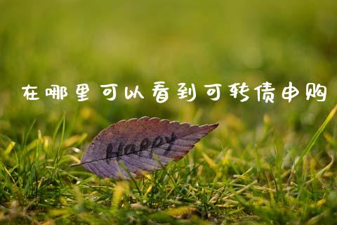 在哪里可以看到可转债申购_https://wap.sdyuehang.cn_债券资讯_第1张