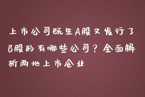 上市公司既生A股又发行了B股的有哪些公司？全面解析两地上市企业_https://wap.sdyuehang.cn_产经新闻_第1张
