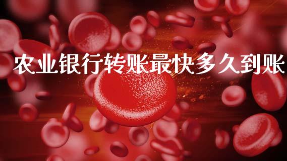 农业银行转账最快多久到账_https://wap.sdyuehang.cn_债券资讯_第1张